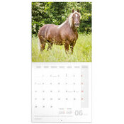 Calendrier 2027 Chevaux 