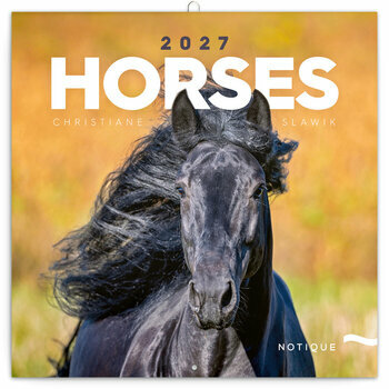 Calendrier 2027 Chevaux Majestueux