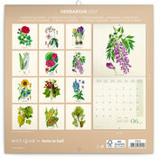 Calendrier papier 2027 Dessins Art Fleurs Nature