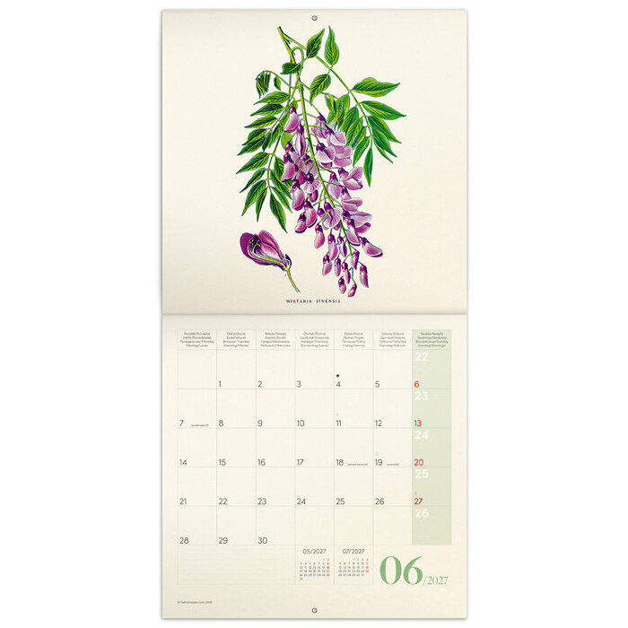 Calendrier papier 2027 Dessins Art Fleurs 
