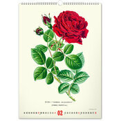 Calendrier 2027 Affiches Herbier Botanique 