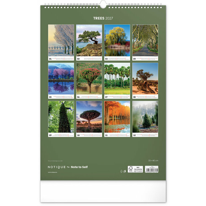 Maxi Calendrier mural 2027 Magnifiques Arbres