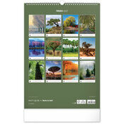 Maxi Calendrier mural 2027 Magnifiques Arbres