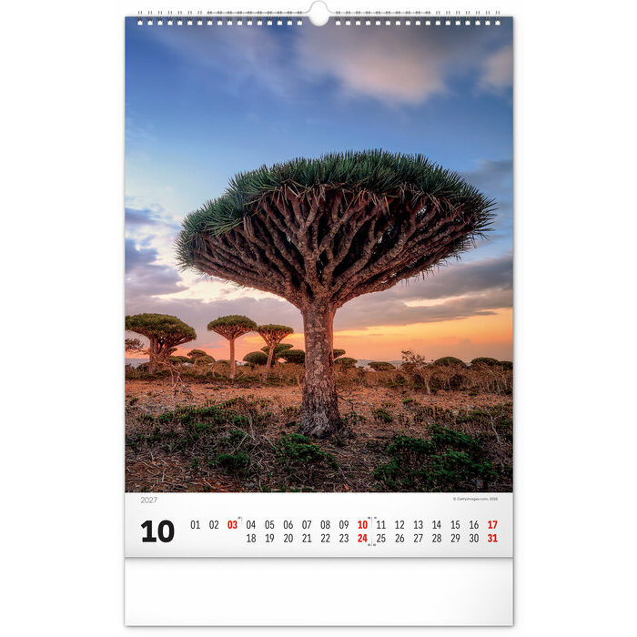 Maxi Calendrier 2027 Magnifiques Arbres