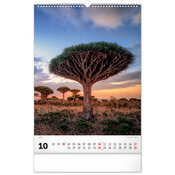 Maxi Calendrier 2027 Magnifiques Arbres