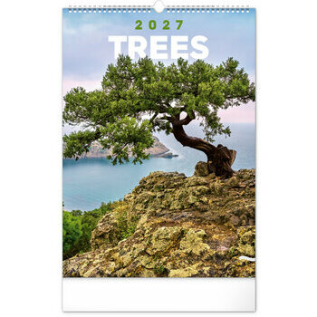 Maxi Calendrier 2027 Magnifiques Arbres