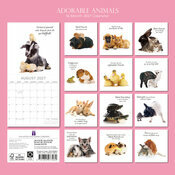 Calendrier 2027 Animaux Adorables Fonds Blancs Calendrier Mural Animaux 2027 Adorables Fonds Blancs