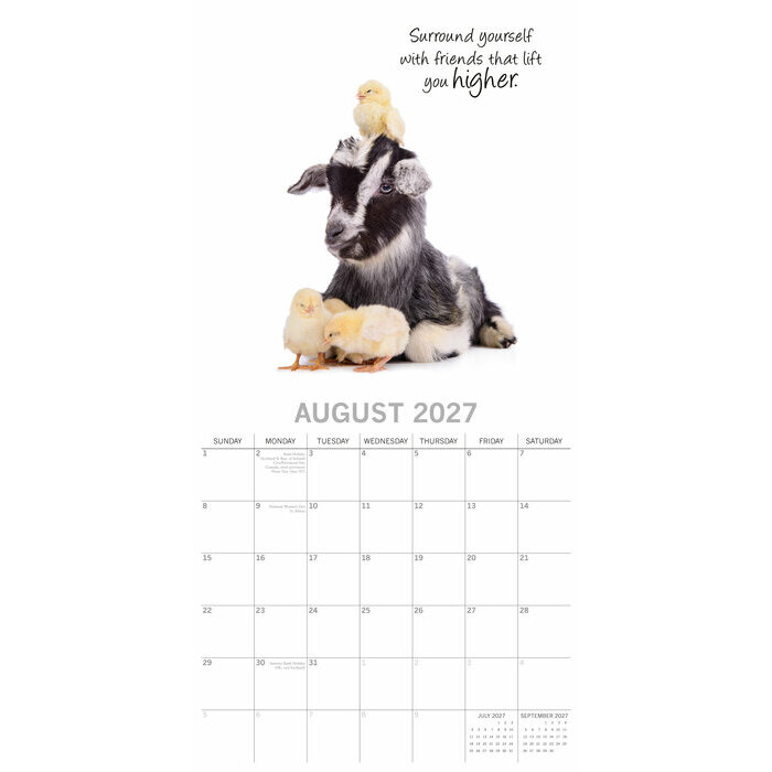 Calendrier 2027 Animaux Adorables Fonds Blancs Calendrier 2027 Adorables Fonds Blancs