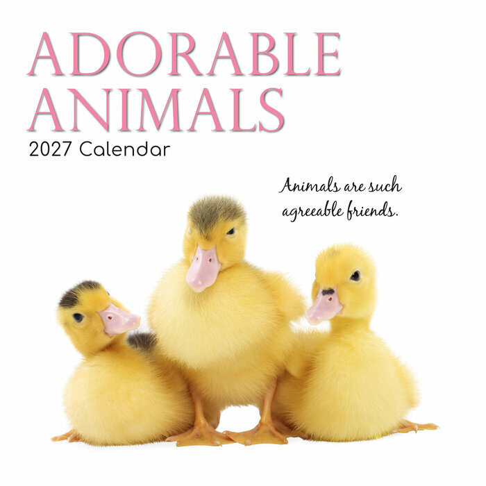 Calendrier 2027 Animaux Adorables Fonds Blancs Calendrier PapierAnimaux 2027 Adorables Fonds Blancs