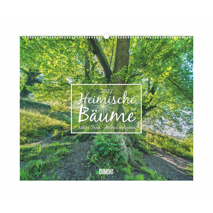 Maxi Calendrier Nature 60x50cm 2026 Arbre Nature