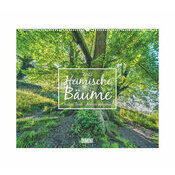 Maxi Calendrier Nature 60x50cm 2026 Arbre Nature