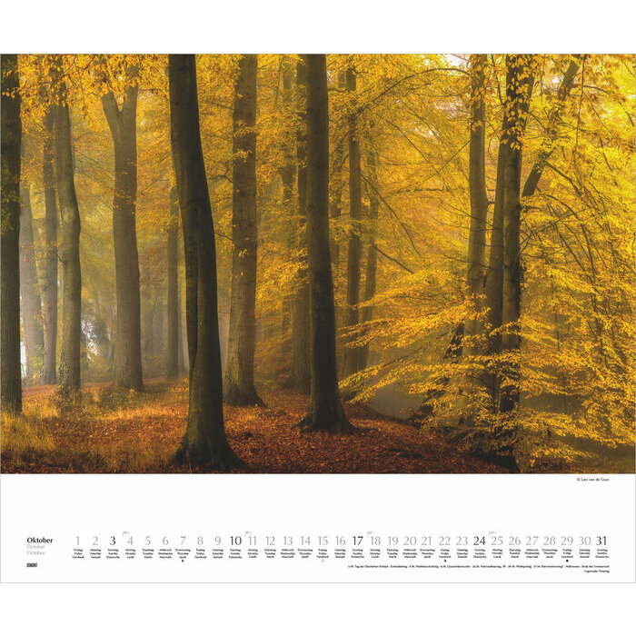 Maxi Calendrier Paysage  52x42,5cm 2027 All�es Arbres