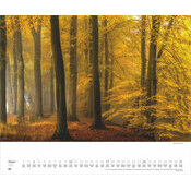 Maxi Calendrier Paysage  52x42,5cm 2027 All�es Arbres