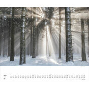 Maxi Calendrier 52x42,5cm 2027 All�es Arbres