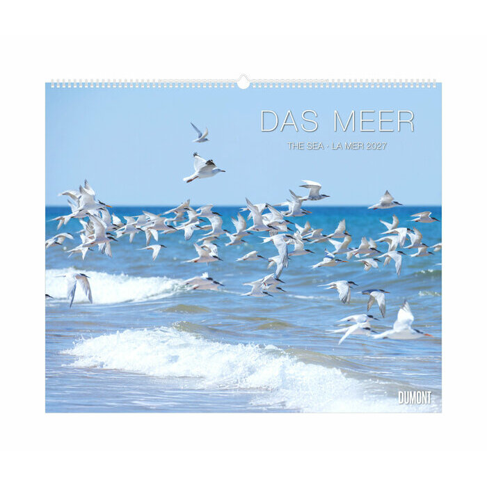 Maxi Calendrier Papier 60x50cm 2027 La Mer Oc�an