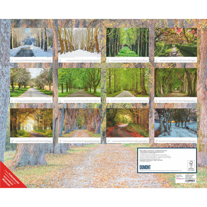 Maxi Calendrier Paysage  52x42,5cm 2027 All�es Arbres
