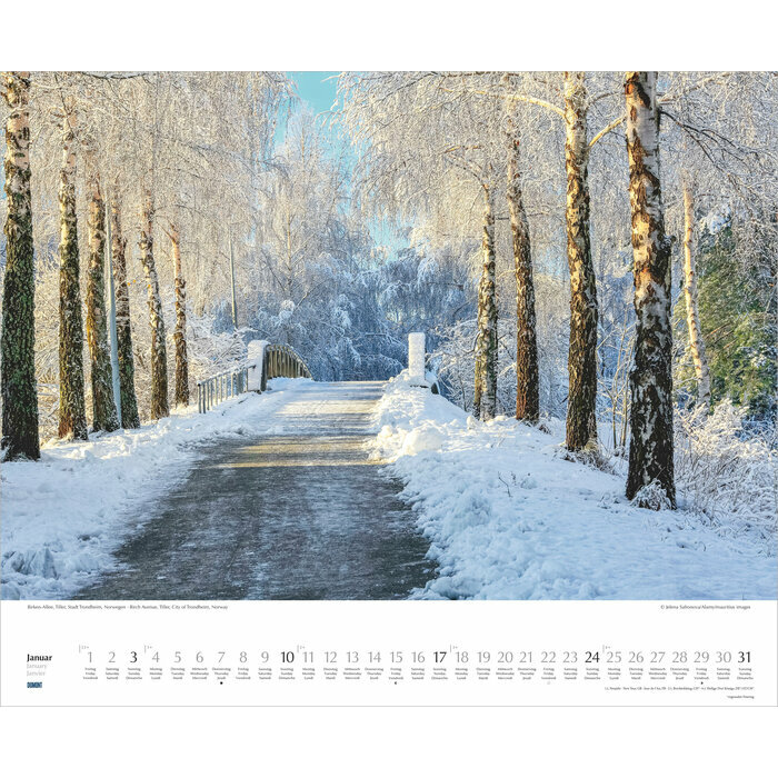 Maxi Calendrier 52x42,5cm 2027 All�es Arbres