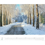 Maxi Calendrier 52x42,5cm 2027 All�es Arbres