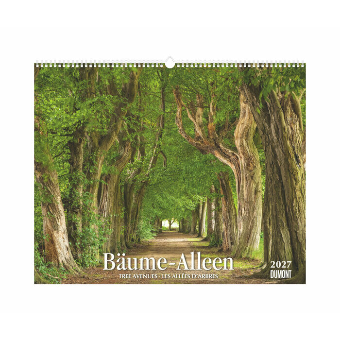 Maxi Calendrier Papier 52x42,5cm 2027 All�es Arbres