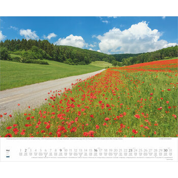 Maxi Calendrier 52x42,5cm 2027 Promenades dans la Nature 