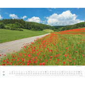 Maxi Calendrier 52x42,5cm 2027 Paysage Promenades dans la Nature 