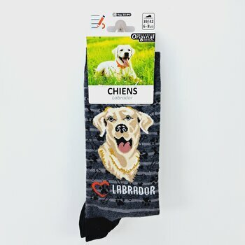 Chaussettes Chien de Race Labrador Sable