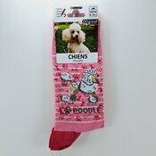 Chaussettes Chien de Race Caniche Blanc Chaussettes Chien de Race Caniche Blanc
