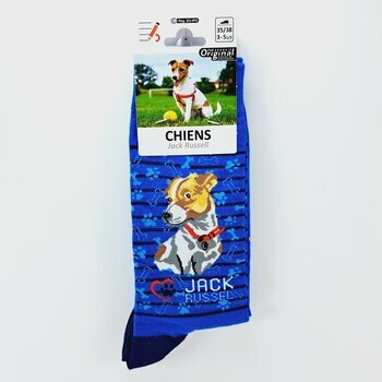 Chaussettes Chien de Race Jack Russell