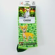 Chaussettes Chien de Race Chihuahua Chaussettes Chien de Race Chihuahua