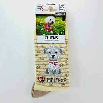Chaussettes Chien de Race Bichon Maltais