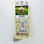 Chaussettes Chien de Race Bichon Maltais Chaussettes Chien de Race Bichon Maltais