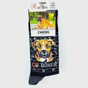 Chaussettes Chien de Race Boxer