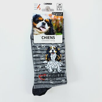 Chaussettes Chien de Race Cavalier King Charles
