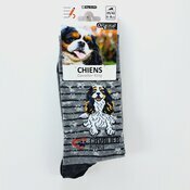 Chaussettes Chien de Race Cavalier King Charles Chaussettes Chien de Race Cavalier King Charles