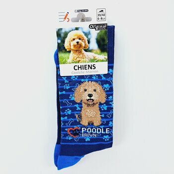 Chaussettes Chien de Race Caniche Abricot