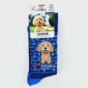 Chaussettes Chien de Race Caniche Abricot Chaussettes Chien de Race Caniche Abricot