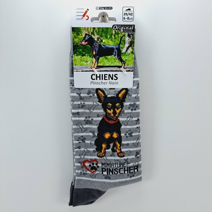 Chaussettes Chien de Race Pinscher Nain Chaussettes Chien de Race Pinscher Nain