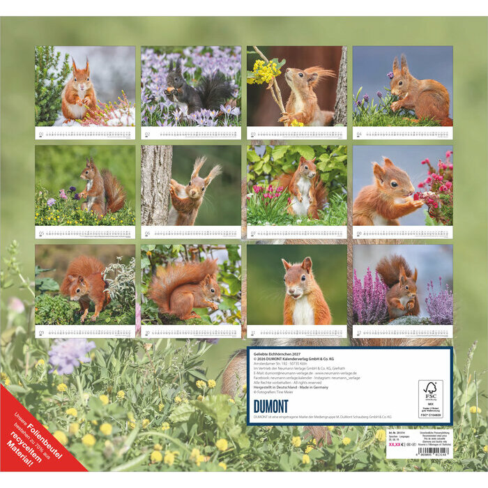 Maxi Calendrier  Ecureuils