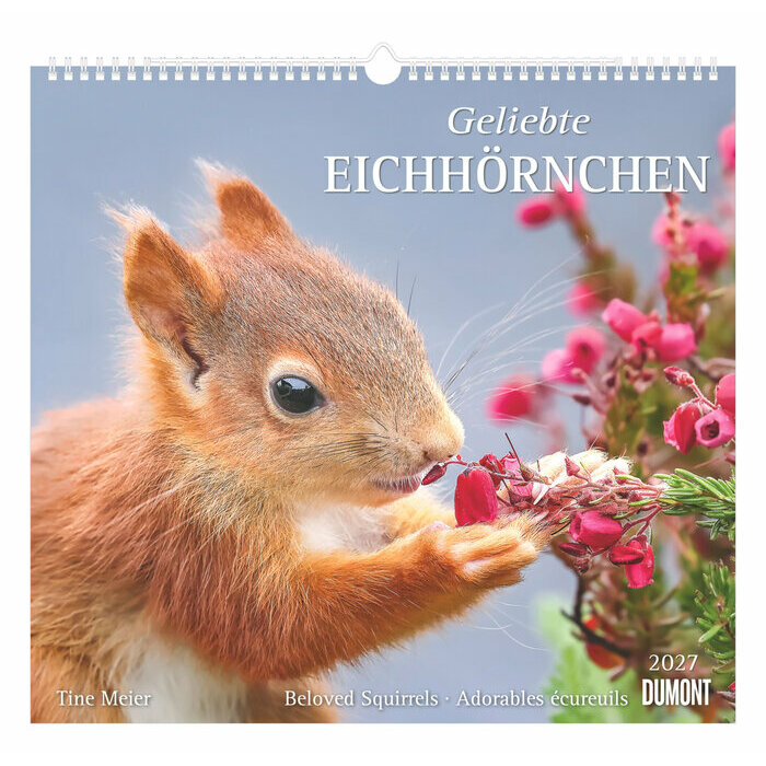 Maxi Calendrier  2027 Adorables Ecureuils