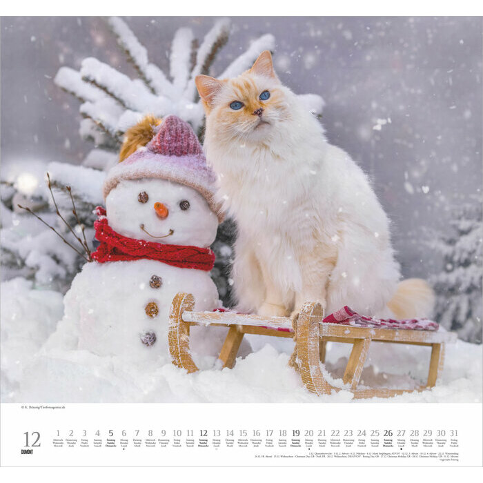 Maxi Calendrier  Ecureuils