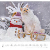 Maxi Calendrier  Ecureuils