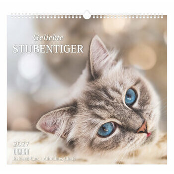 Maxi Calendrier 38x35.5cm 2027 Adorables Chats Chatons