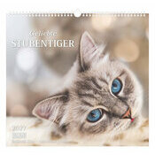 Maxi Calendrier  2027 Adorables Ecureuils