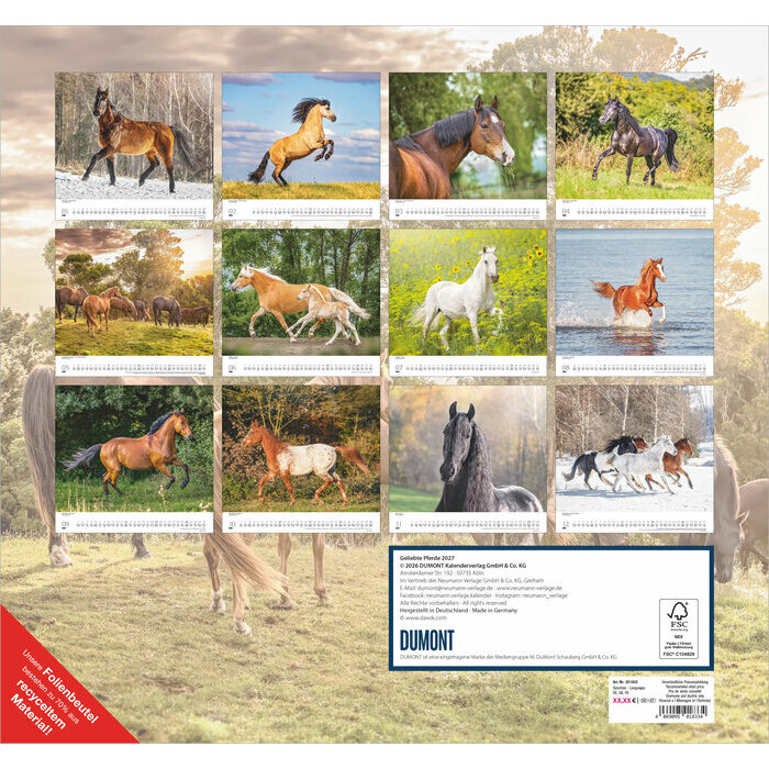 Maxi Calendrier papier 38x35.5cm 2027 Superbes Chevaux