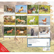 Maxi Calendrier papier 38x35.5cm 2027 Superbes Chevaux