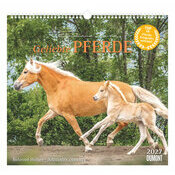 Maxi Calendrier mural 38x35.5cm 2027 Superbes Chevaux