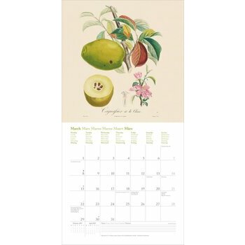 Calendrier 2027 Dessin Fruits et Arbres Fruitiers
