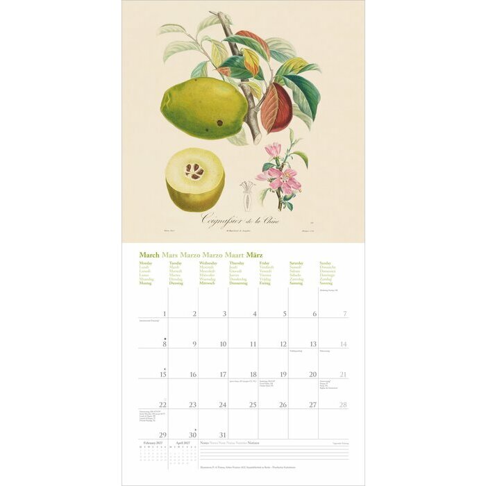 Calendrier 2027 Dessin Fruits et Arbres Fruitiers