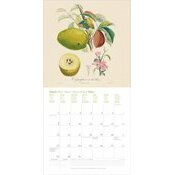 Calendrier 2027 Dessin Fruits et Arbres Fruitiers