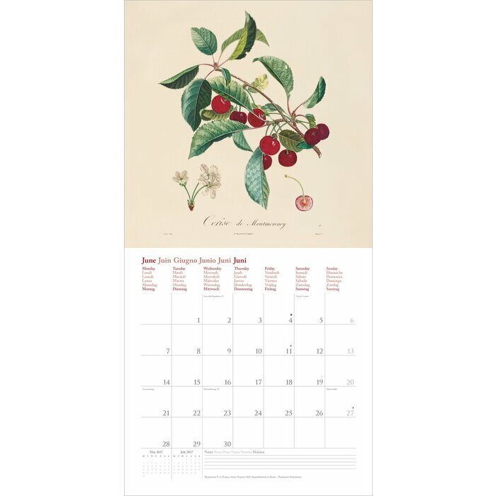 Calendrier Oranger 2027 Dessin Fruits et Arbres Fruitiers